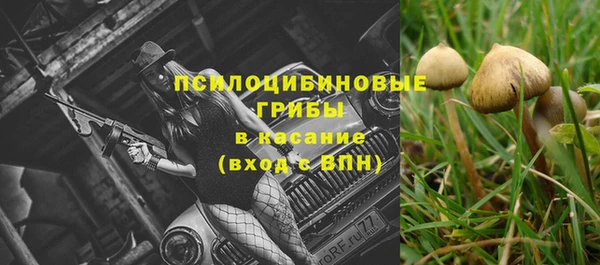 прущие крисы Липки