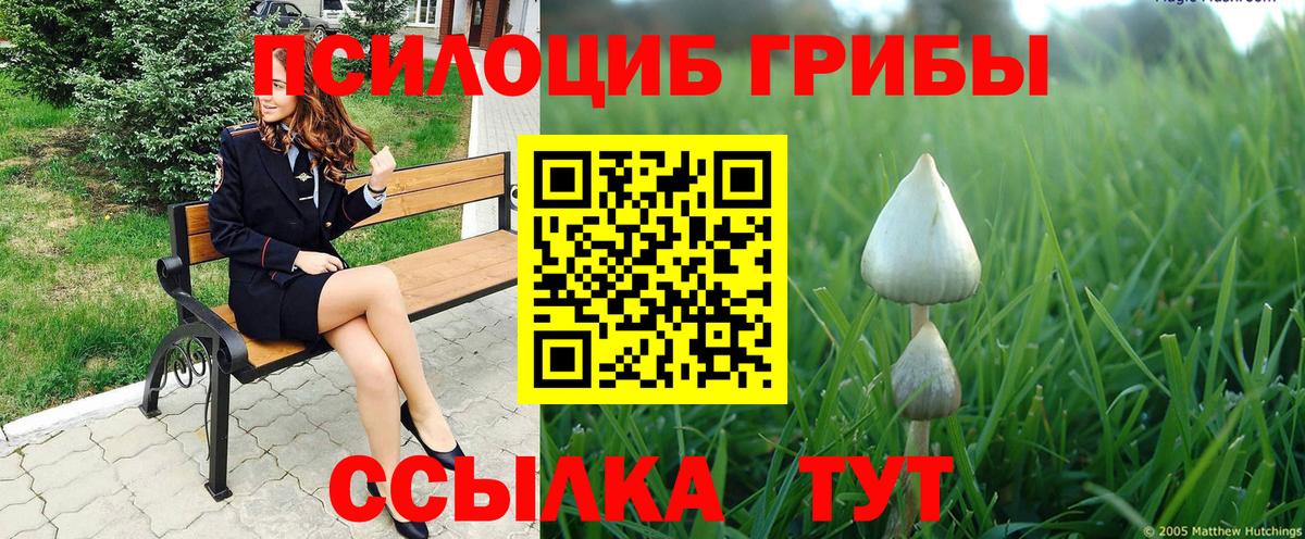 Псилоцибиновые грибы прущие грибы  Псилоцибиновые грибы Cubensis  Бийск  Вход с VPN 