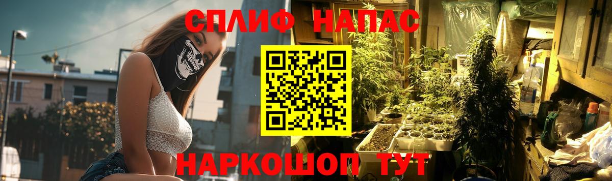 Шишки марихуана сатива Бийск